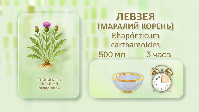 Маралий корень для выносливости