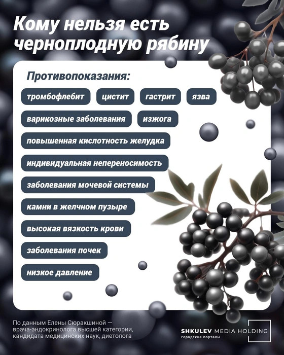 Снижает холестерин, но может «уронить» давление: кому нельзя есть черноплодную рябину