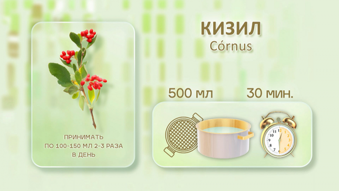 Кизил для иммунитета