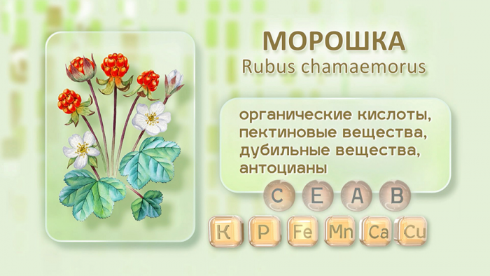 Витаминная морошка