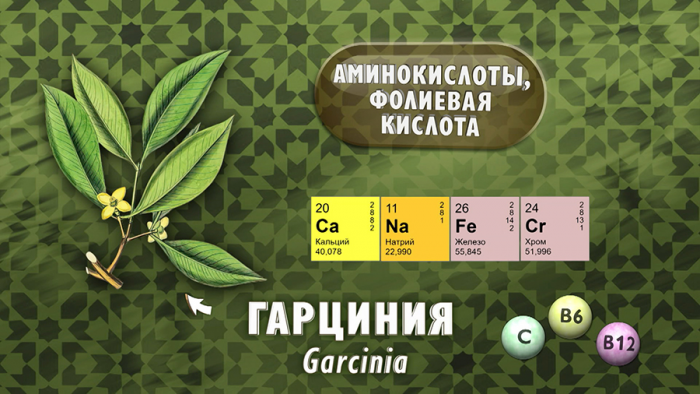 Гарциния для похудения