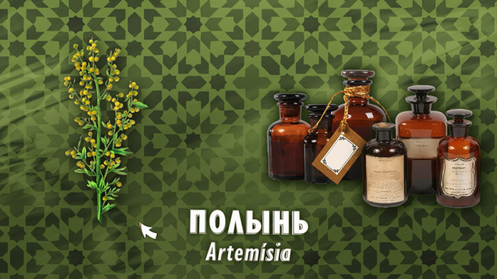 Полынь от простуды