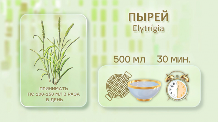 Пырей для суставов