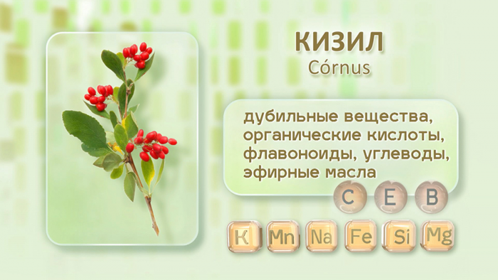 Кизил для иммунитета