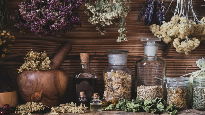 Лапчатка для щитовидки