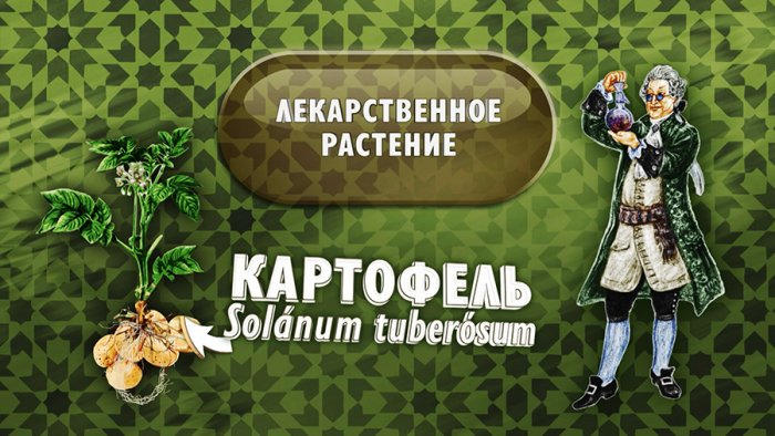 Картофель от кашля