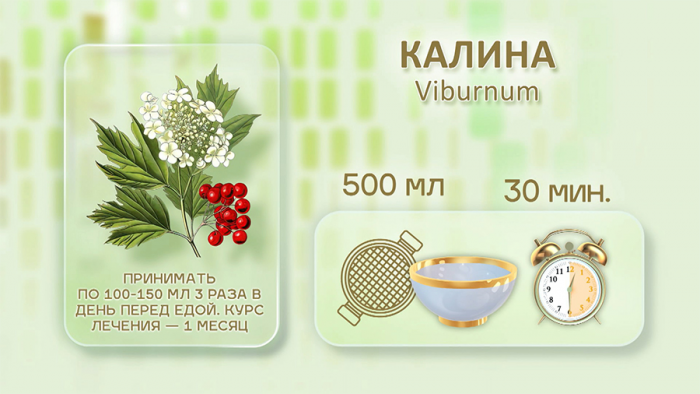 Калина от простуды